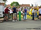 Zandlemig Vlaanderen
